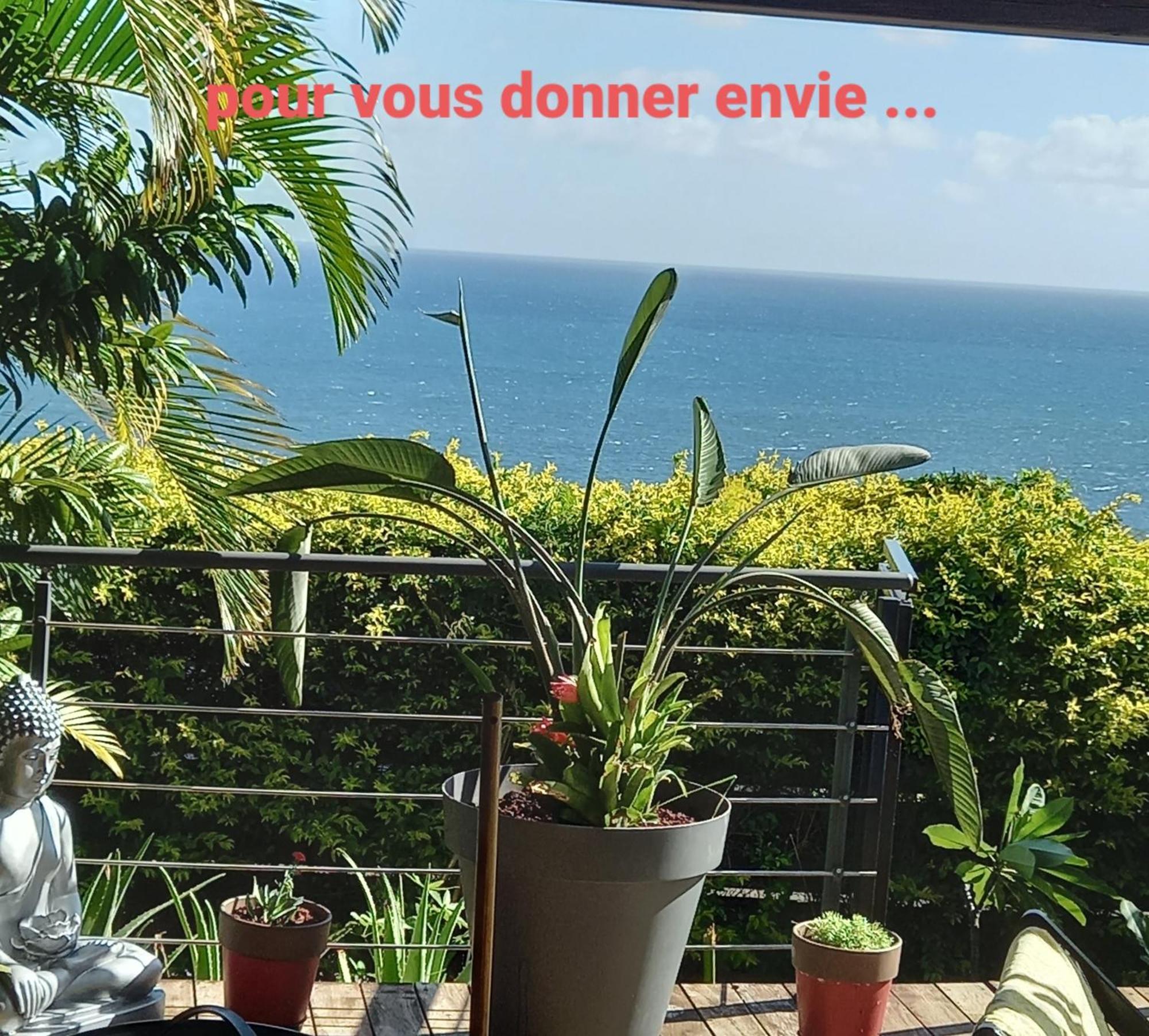 Suite Indigo Jacuzzi Prive Piscine Vue Mer Acces Cuisine Laverie 圣皮埃尔 外观 照片